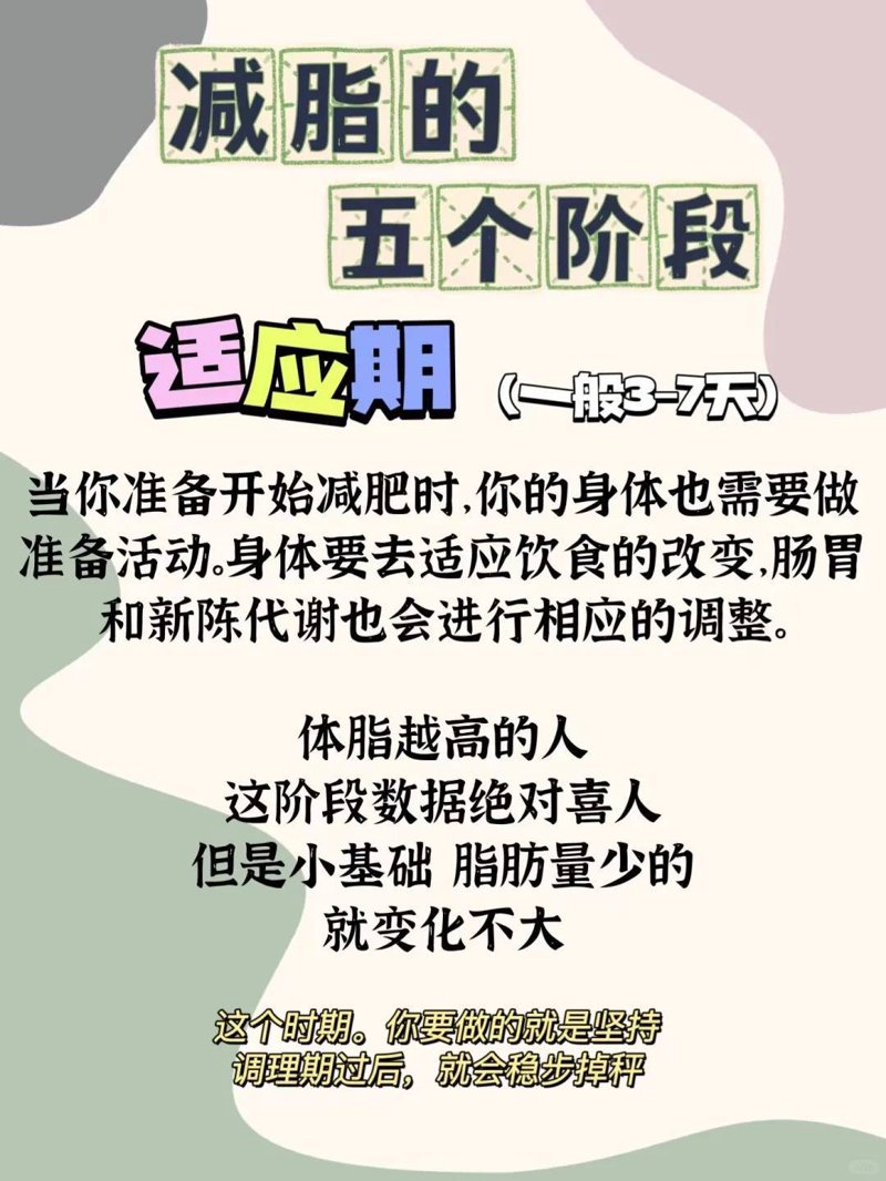 体能训练是一种整合训练，它不仅能够帮助我们塑造身材，还能提高身体素质。在塑身减肥训练营中，这种全面的训练方式显得尤为重要。